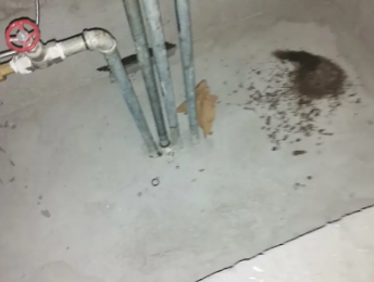 巩义卫生间测漏水价格明细